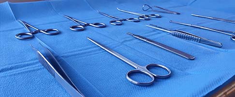 Pet Surgery Services