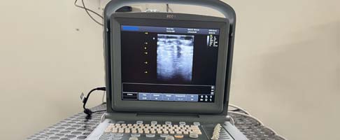 Pet Diagnostic Imaging Norwich