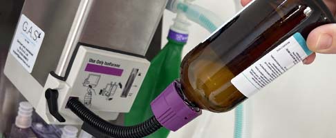 Veterinary Surgery Update